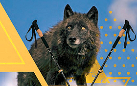 Schwarzwolf Outdoor jako první
