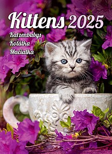 Kalendář Koťátka, 2026