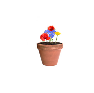 PLANTAS Tobolka se semínky květin