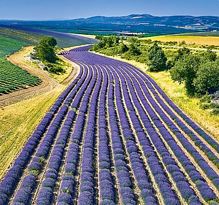 Provence 2026, nástěnný kalendář, prodloužená záda