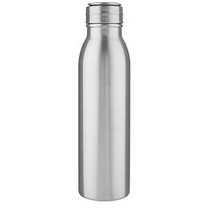 Láhev na pití, 700ml, z nerezové oceli s poutkem, stříbrná